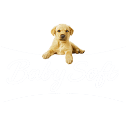 Baby SoftLogo